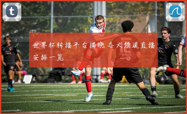 世界杯转播平台揭晓 各大频道直播安排一览