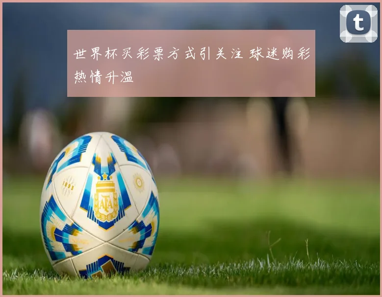世界杯买彩票方式引关注 球迷购彩热情升温