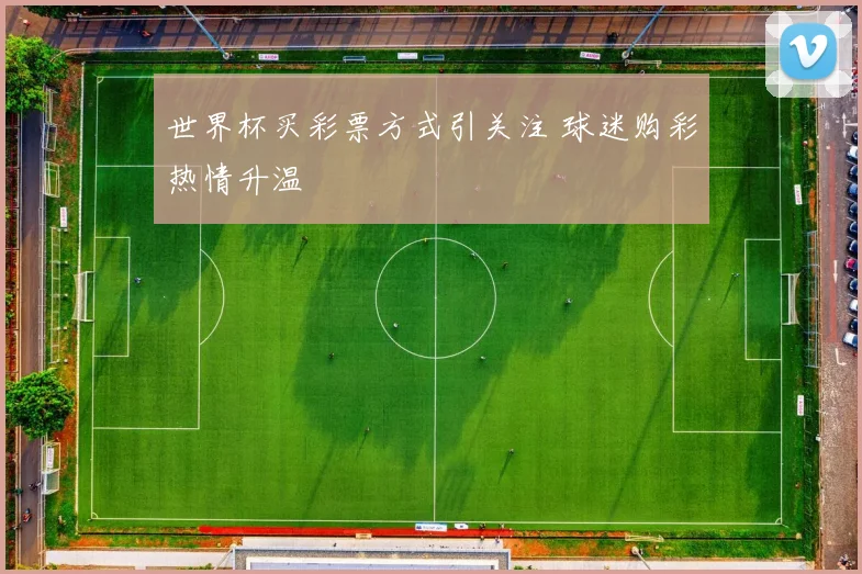 世界杯买彩票方式引关注 球迷购彩热情升温