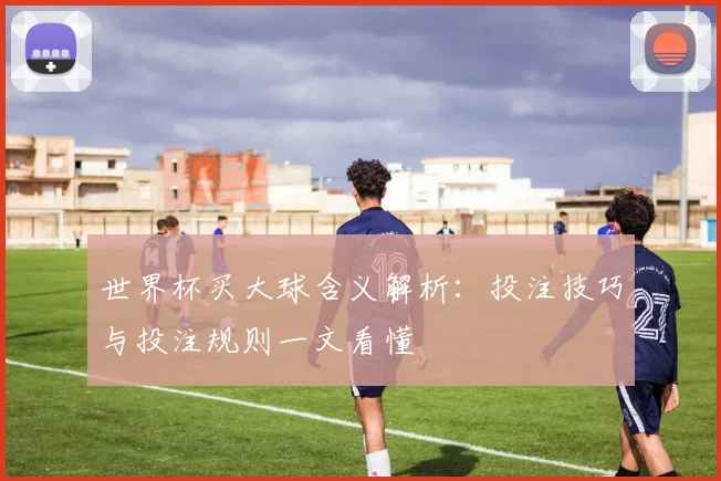 世界杯买大球含义解析：投注技巧与投注规则一文看懂