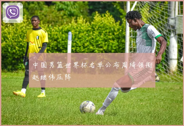 中国男篮世界杯名单公布周琦领衔赵继伟压阵