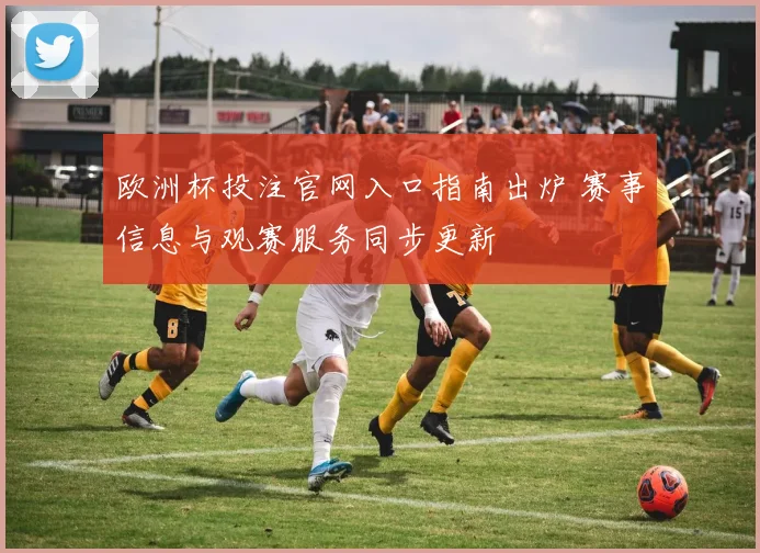 欧洲杯投注官网入口指南出炉 赛事信息与观赛服务同步更新